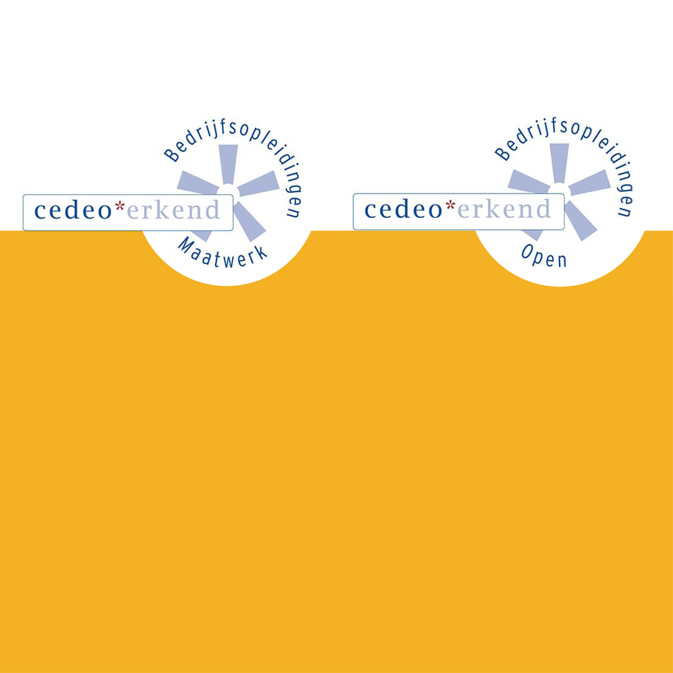 Amsterdam UMC Academie ontvangt opnieuw Cedeo-erkenning